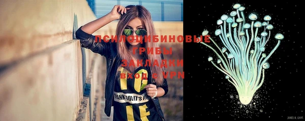 Альфа ПВП Лабытнанги