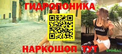 гидра Беслан