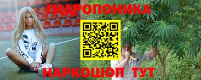 гидра Беслан