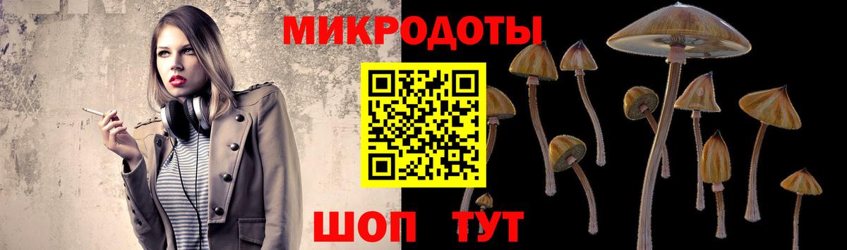Кольчугино  Псилоцибиновые грибы Cubensis  Вход с VPN  Галлюциногенные грибы мицелий 